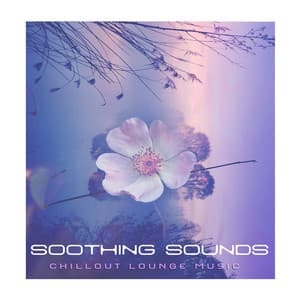 Soothing Sounds - Chillout Lounge Music