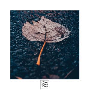 Calmful Soothing Nice Noises for Sleep Well - Tinnitus Cure