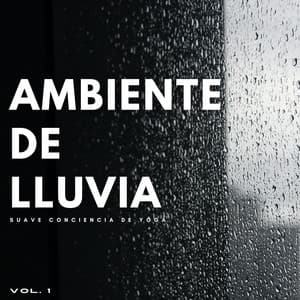 Ambiente De Lluvia: Suave Conciencia De Yoga Vol. 1 - El poder de la lluvia