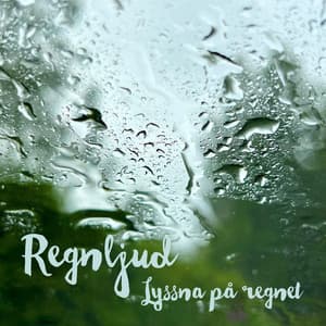 Lyssna på regnet - Regnljud