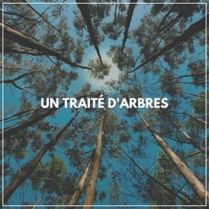 Un traité d'arbres - Oasis de Musique Nature Relaxante