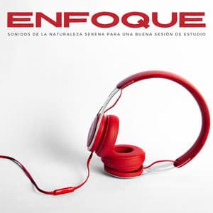 Enfoque: Sonidos De La Naturaleza Serena Para Una Buena Sesión De Estudio - Muestreo estéreo al aire libre