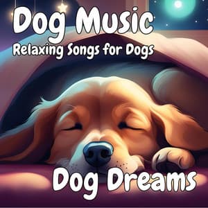 Dog Music: Relaxing Songs for Dogs - Dog Dreams