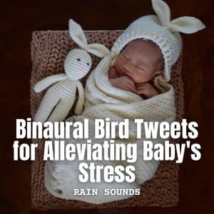 Rain Sounds: Binaural Bird Tweets for Alleviating Baby's Stress - Rain and Nature