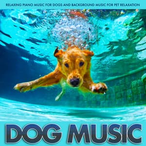 Dog Music: Relaxing Piano Music For Dogs and Background Music For Pet Relaxation - Dog Music