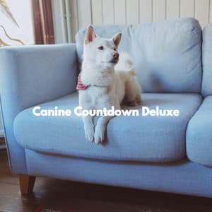 Canine Countdown Deluxe - Easy Listening Morning Music
