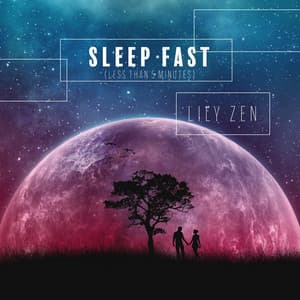 Sleep Fast : Deep Sleep Music and Relaxation - Lily Zen