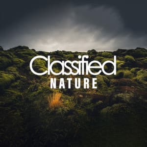 Classified Nature - Jungle Sounds