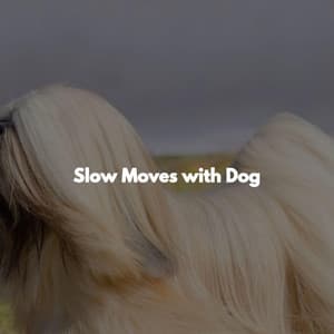 Slow Moves with Dog - Norway Jazz Norge