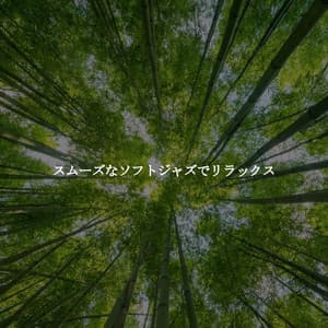 スムーズなソフトジャズでリラックス - Luxury Hotel Music