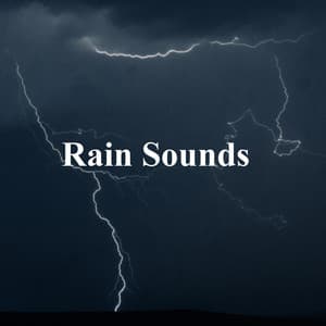 Rain Sounds - Nature Of Sweden
