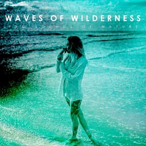 Waves Of Wilderness - Pro Sounds of Nature