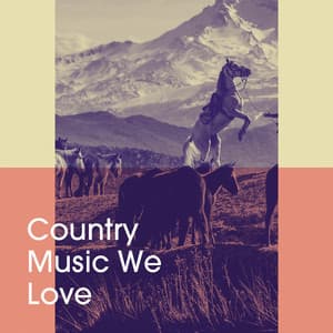 Country Music We Love - Country Love