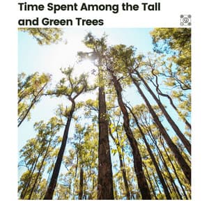 Time Spent Among the Tall and Green Trees - Nature Sleep