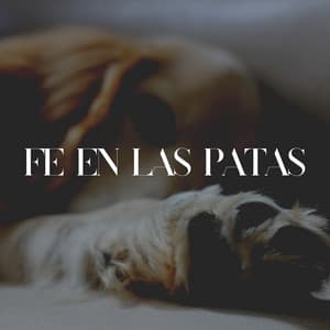 Fe en las Patas - Biblioteca de Música Para Mascotas