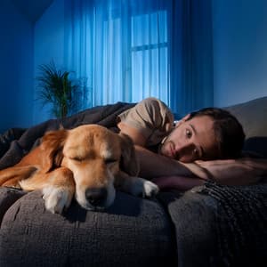 Lofi Calmante Para La Relajación Y Sueño De Mascotas - Melodías de paz para seres