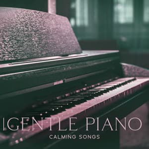 Gentle Piano: Calming Songs - Relaxing Piano Jazz Music Ensemble