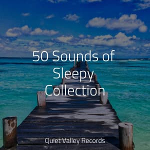 50 Sounds of Sleepy Collection - A Sudden Rainstorm