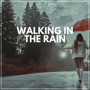 Walking in the Rain - Loopable Rain Sounds