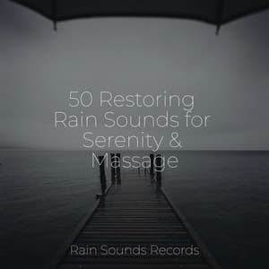 50 Restoring Rain Sounds for Serenity & Massage - Sleepy Night Music