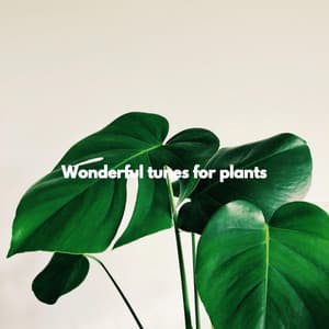 Wonderful tunes for plants - Musica da Leggere