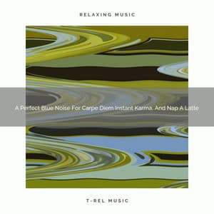 A Perfect Blue Noise For Carpe Diem Instant Karma, And Nap A Latte - White Noise Healing Center