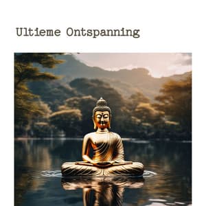 Ultieme Ontspanning: Rustgevende Geluiden voor Mindfulness en Meditatie - Positief Denken