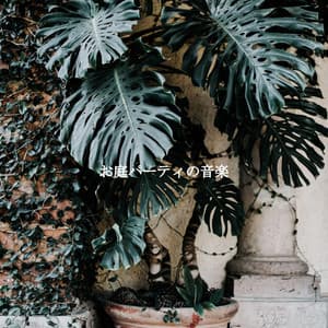 お庭パーティの音楽 - Bossa Lounge Deluxe