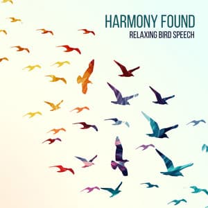 Harmony Found: Relaxing Bird Speech - Calm Singing Birds Zone