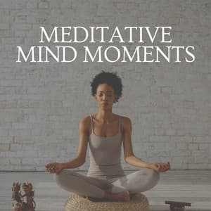 Meditative Mind Moments - Music for Deep Meditation