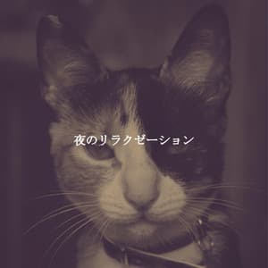 夜のリラクゼーション - Hotel Lobby Jazz Group