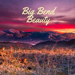 Big Bend Beauty - Peaceful Me