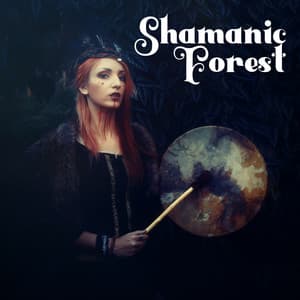 Shamanic Forest: Native American Meditation for Positive Energy - Native American Relaxation