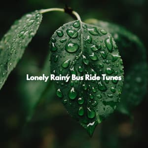 Lonely Rainy Bus Ride Tunes - Brunch Jazz Radio