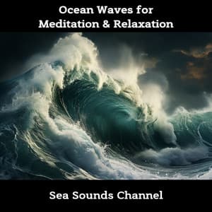 Ocean Waves for Meditation & Relaxation - Sea Sounds Channel