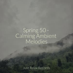 Spring 50 - Calming Ambient Melodies - Música relaxante