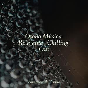 Otoño Música Relajante | Chilling Out - Meditación Guiada