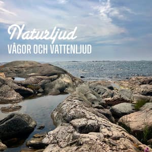 Vågor och vattenljud - Naturljud