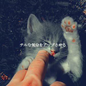 チルな気分をアップさせる - Coffee jazz Relax