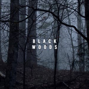 Black Woods - Rain Recorders