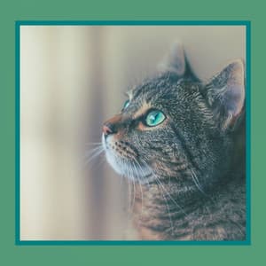 Trio Jazz - Background Music for The Happiest Cats - Cat Relax