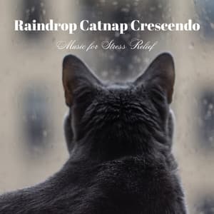 Raindrop Catnap Crescendo: Music for Stress Relief - The Magical Drops