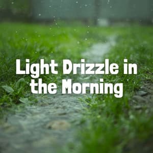 Light Drizzle in the Morning - The Relaxation Guys