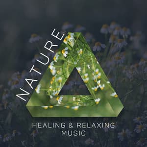 Nature Healing & Relaxing Music - Nature Medicine, Imagination Booster - Deep Relaxation Exercises Academy