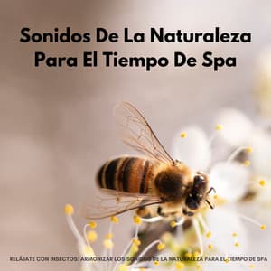 Relájate Con Insectos: Armonizar Los Sonidos De La Naturaleza Para El Tiempo De Spa - Sonidos orgánicos de la naturaleza