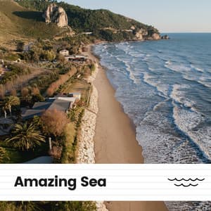 Amazing Sea - Relaxation Ocean Waves Academy