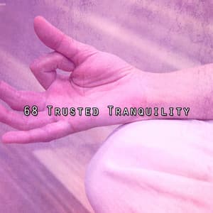68 Trusted Tranquility - Meditation Music Masters