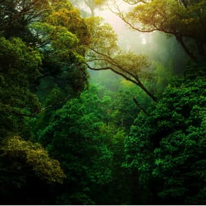 Relaxing Nature Sounds for Hiking - Nature Sounds ASMR