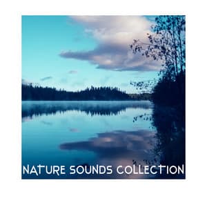 Nature Sounds Collection - Nature Tribe