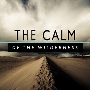 The Calm of the Wilderness - Soothing Sounds
